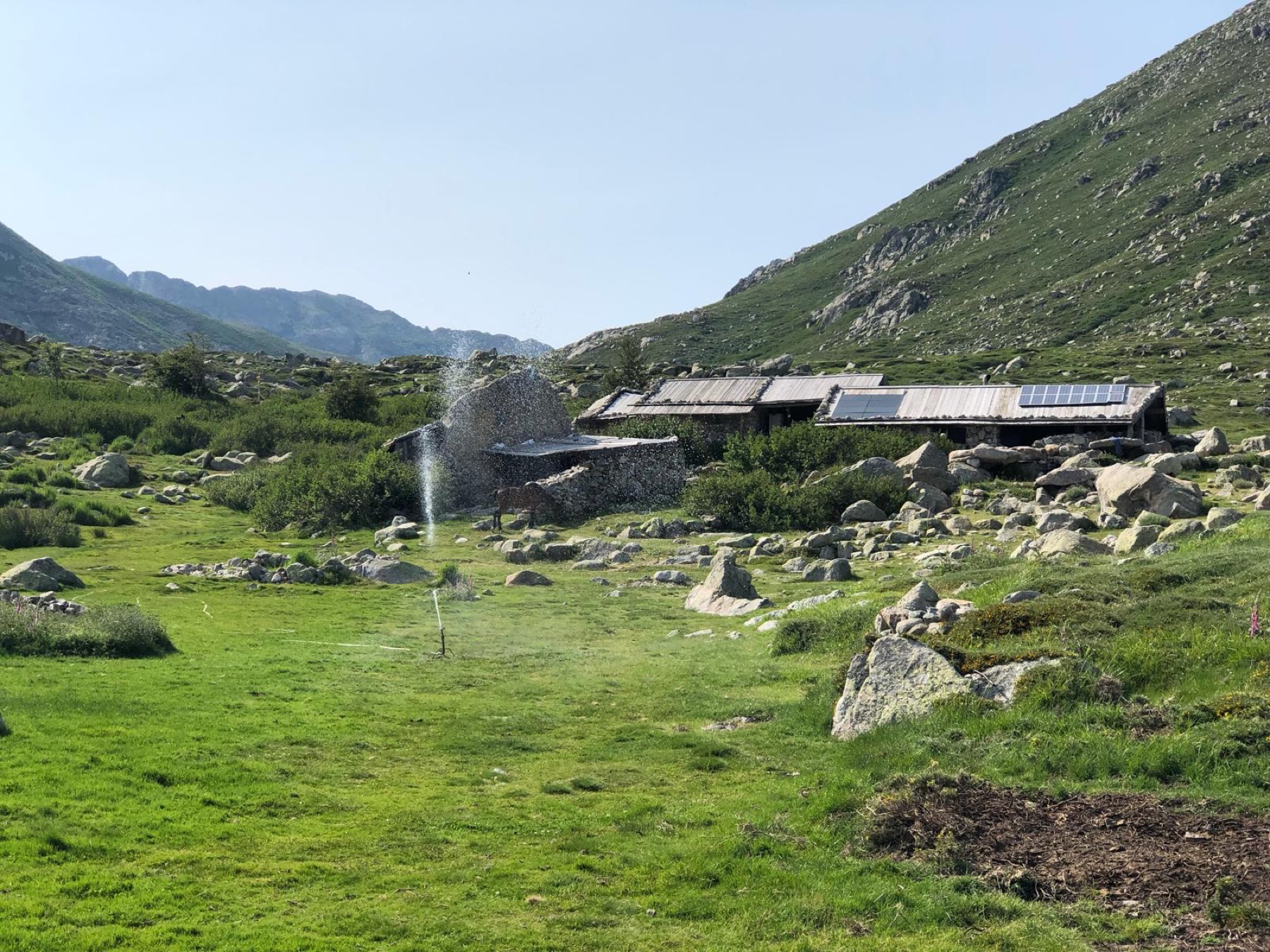 La bergerie au cœur des montagnes corses