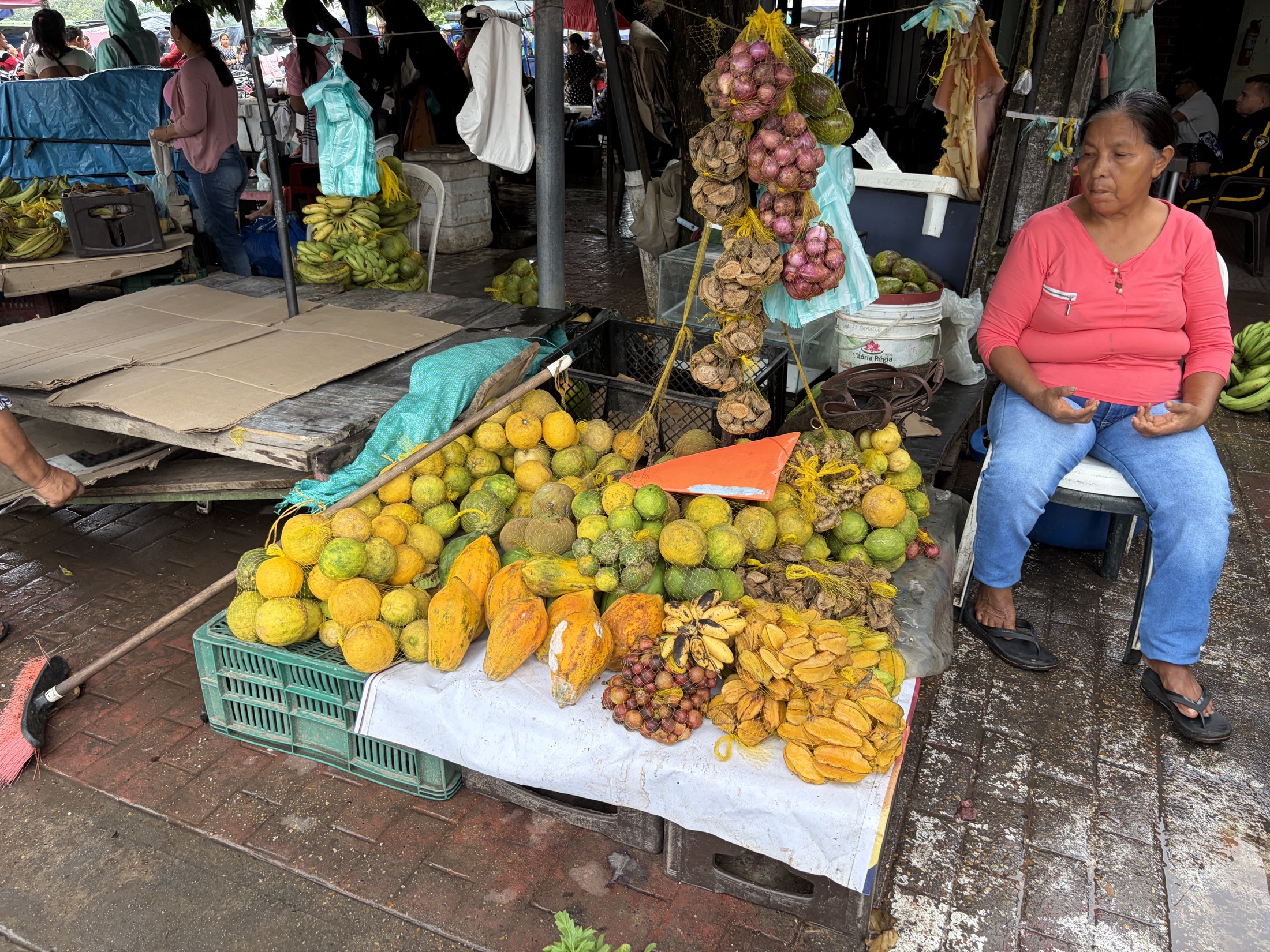Marche pendant l’immersion Amazonico